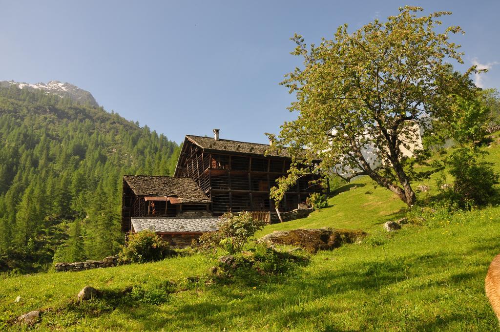 Hotel Baita Prato Della Croce Riva Valdobbia Exterior foto